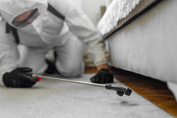 Professional Termite Control technician working in Ottawa, OH