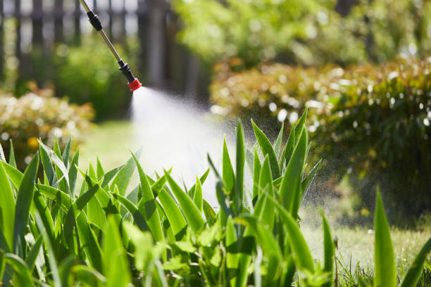 24/7 Emergency Termite Control experts in Ottawa, OH