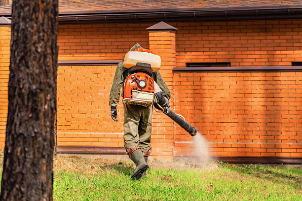 Trusted Termite Control service in Ottawa, OH - Nex Pest Control